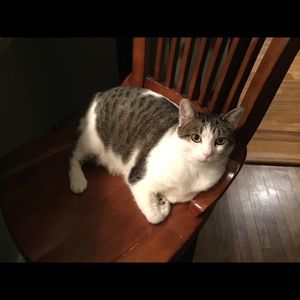 Meet your Posher, Ashley